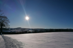Aufbereitung-und-Deponie-auf-Bergwiesen-in-Baerenstein