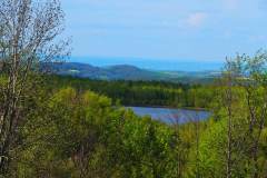 Ein Blick auf die renaturierte Spülhalde