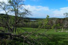 Noch ein Blick auf die renaturierte Spülhalde