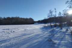 Deponieflaeche-Lithium-Trockenhalde-Blick-von-Norden-Baerenstein