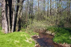 An der kleinen Biela